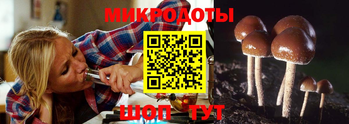 Псилоцибиновые грибы Magic Shrooms  Вход с VPN  Аксай 